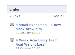 Screenshot of  link section of the &ldquo;A Small Exposition&rdquo; Facebook page. It shows a link added by the admin and an &ldquo;advertisement&rdquo; added as a link by Facebook.